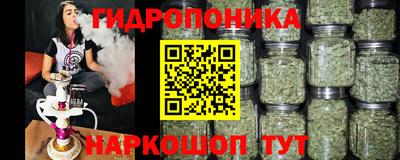 прущие грибы Бузулук