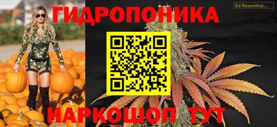 ECSTASY Будённовск