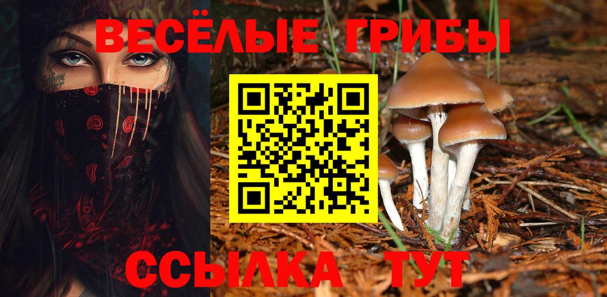 Сердобск  Псилоцибиновые грибы Cubensis  Вход с VPN 
