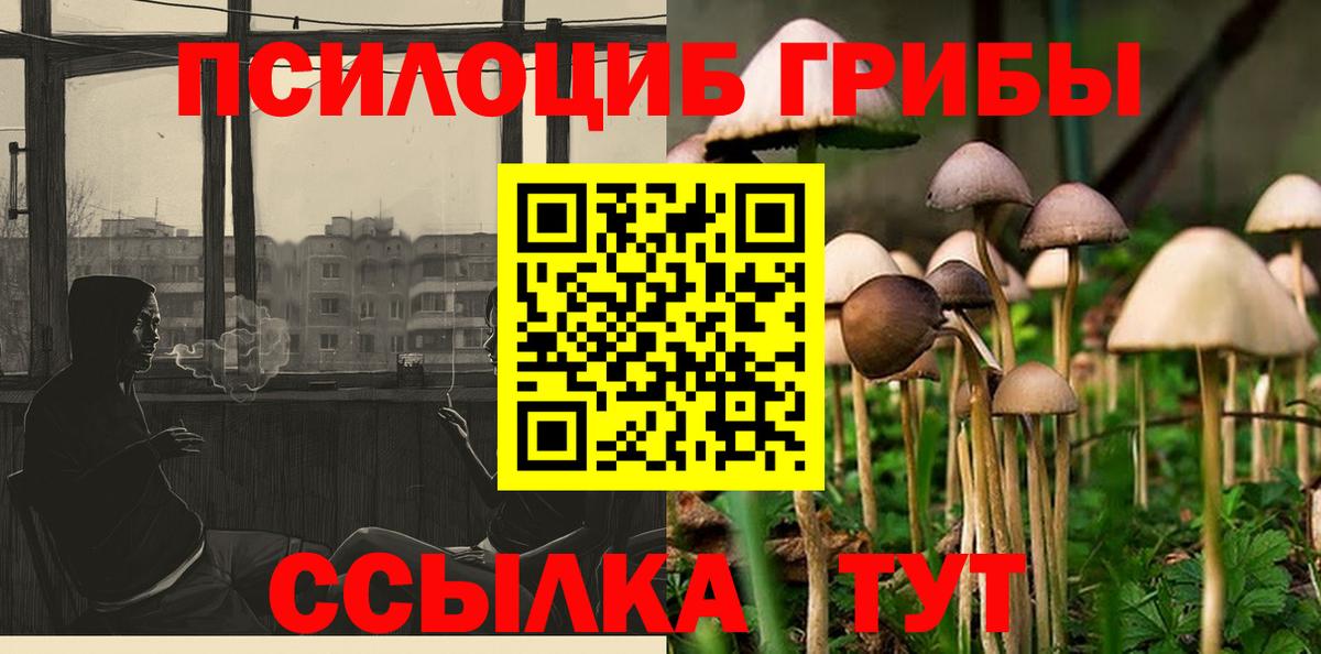 Галлюциногенные грибы прущие грибы Сердобск